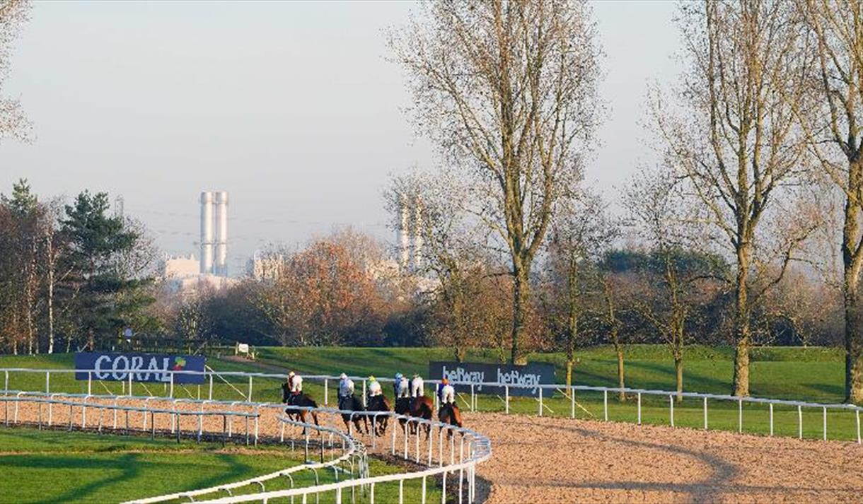 Afternoon Flat Racing
