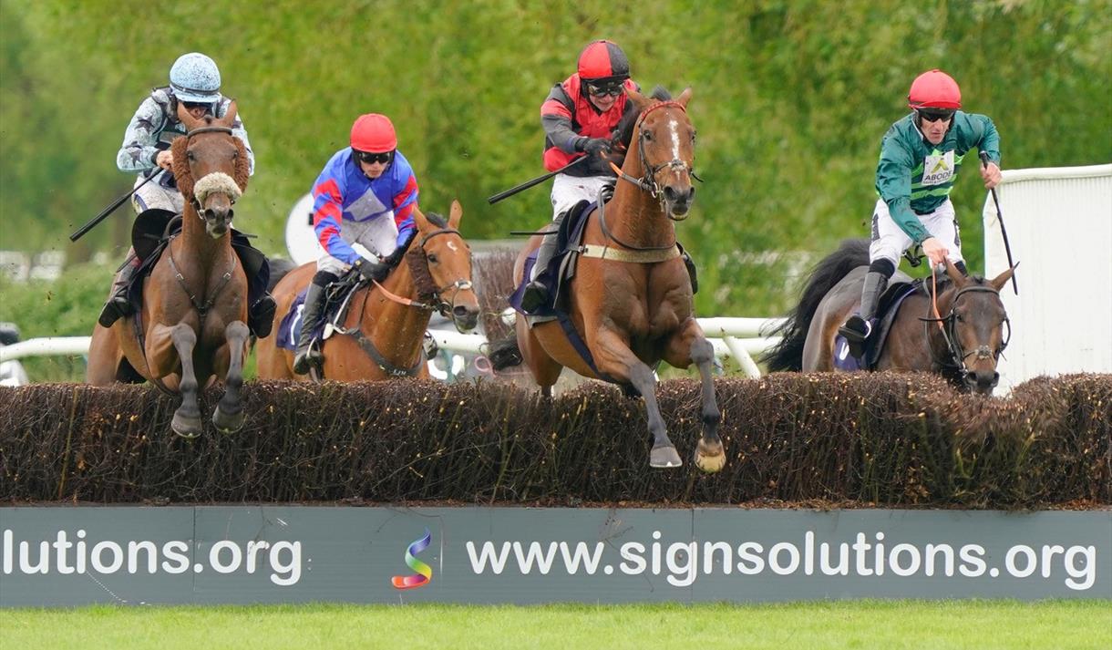 Afternoon Jump Racing