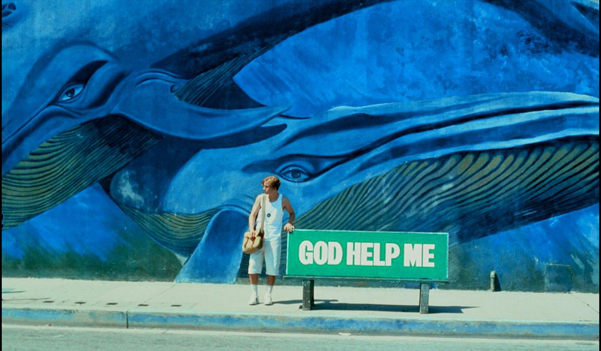 No Shadow Between the Thighs: NOWHERE with THE YO-YO GANG
