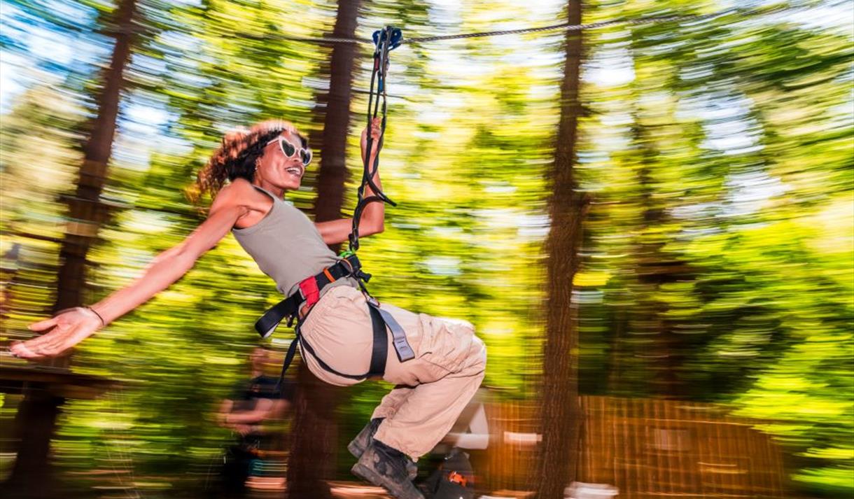 Adults-Only Sessions at Go Ape Sherwood