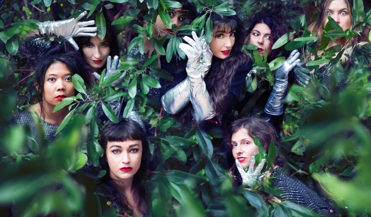 Baby Buska hiding in foliage!