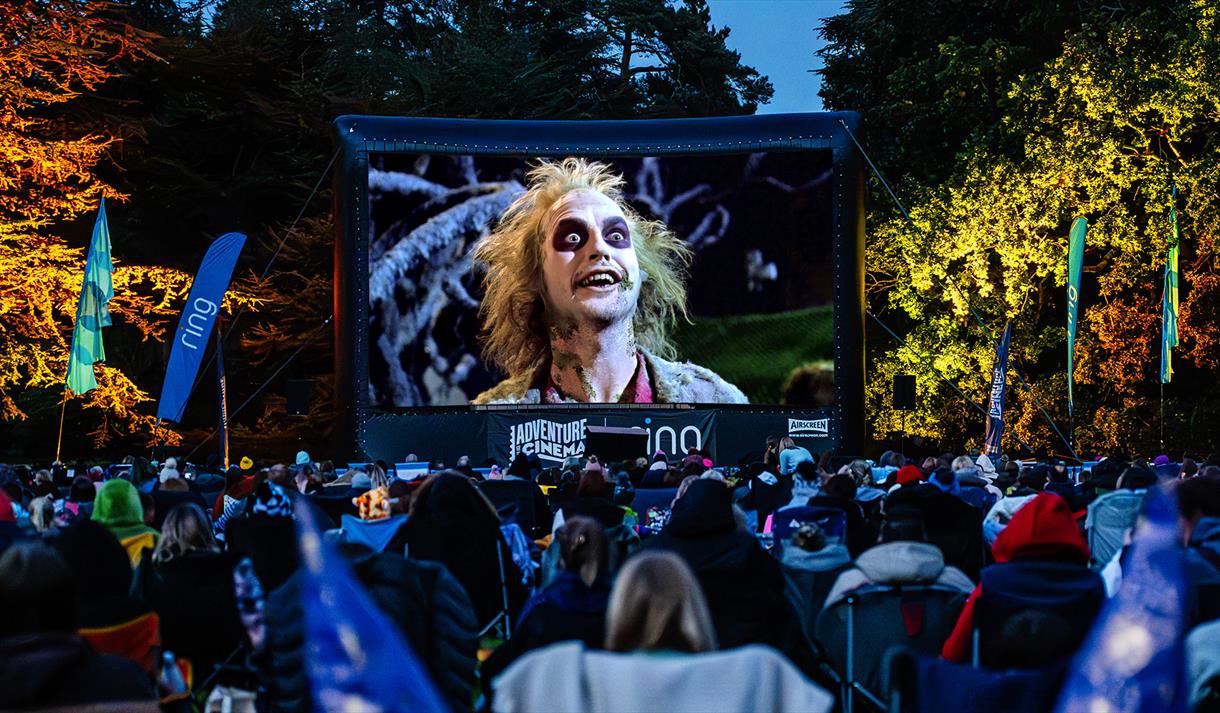 Halloween Outdoor Cinema at Wollaton Park