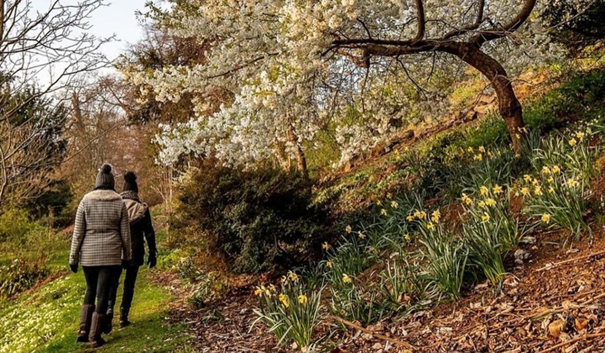 New Year charity walk