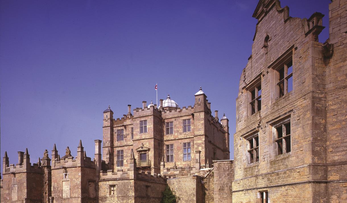 Cavendish's horses: From manege to dressage
