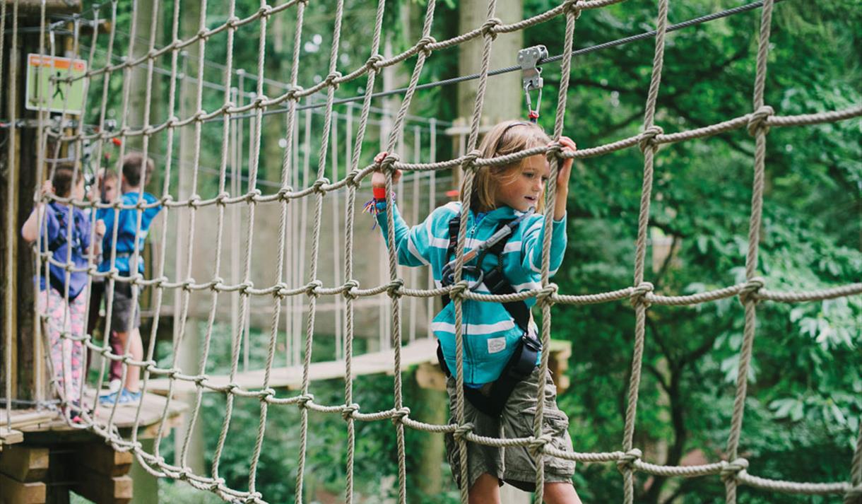 Go Ape at Sherwood Pines Visit Nottinghamshire