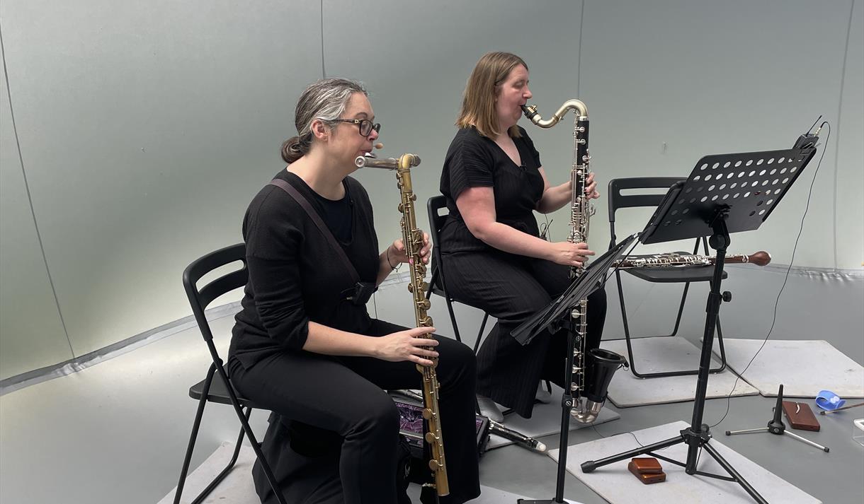 rarescale: Exploring Interactions
