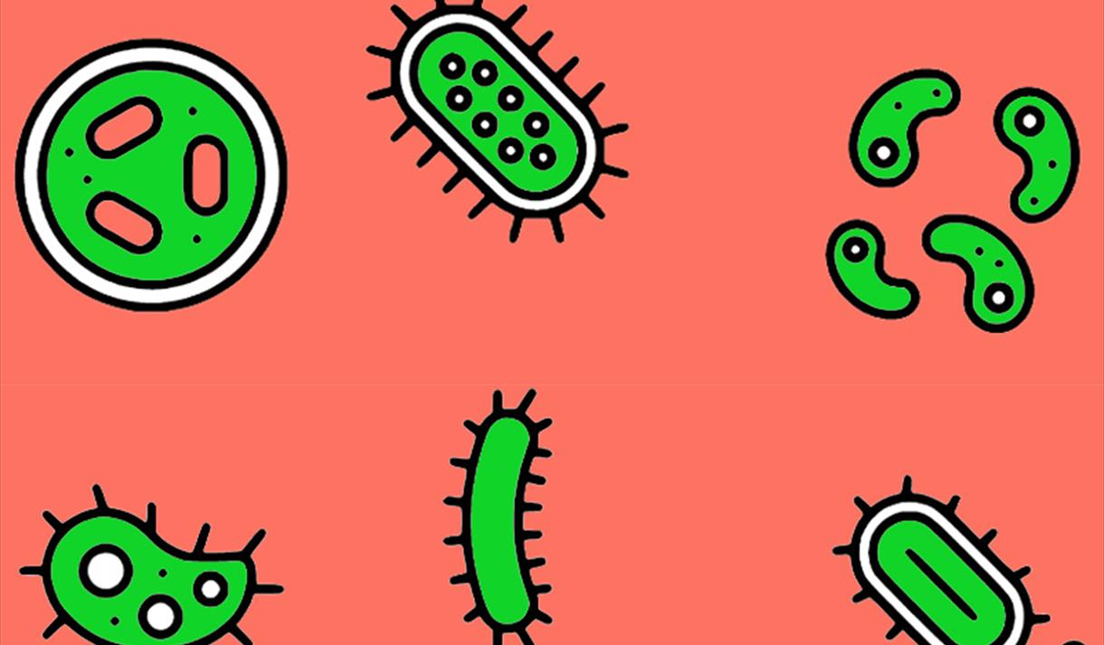 CELLS, VIRUSES, AND BACTERIA! With Rosny Hayward

