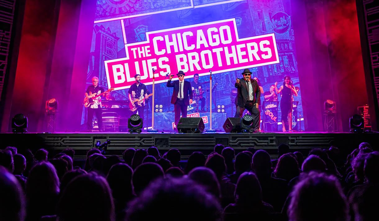 the chicago blues brother on stage