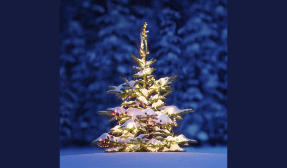 Christmas Is Coming!
