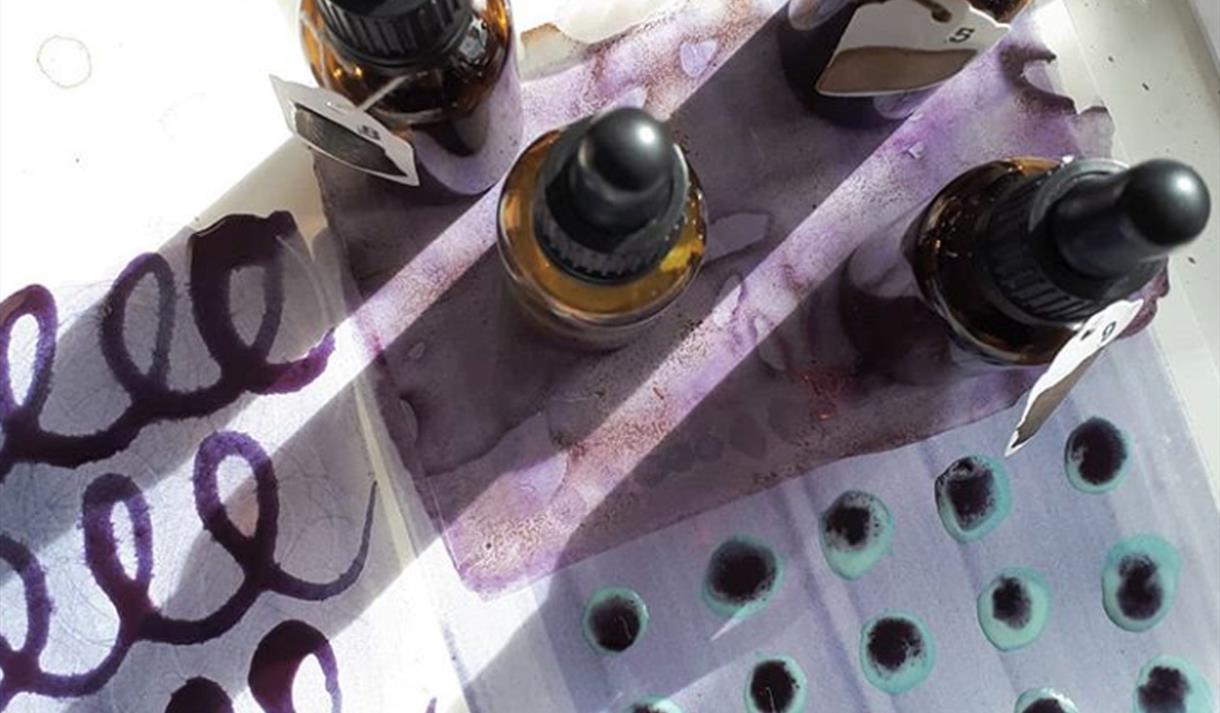 Botanical Ink-Making at Sherwood Forest