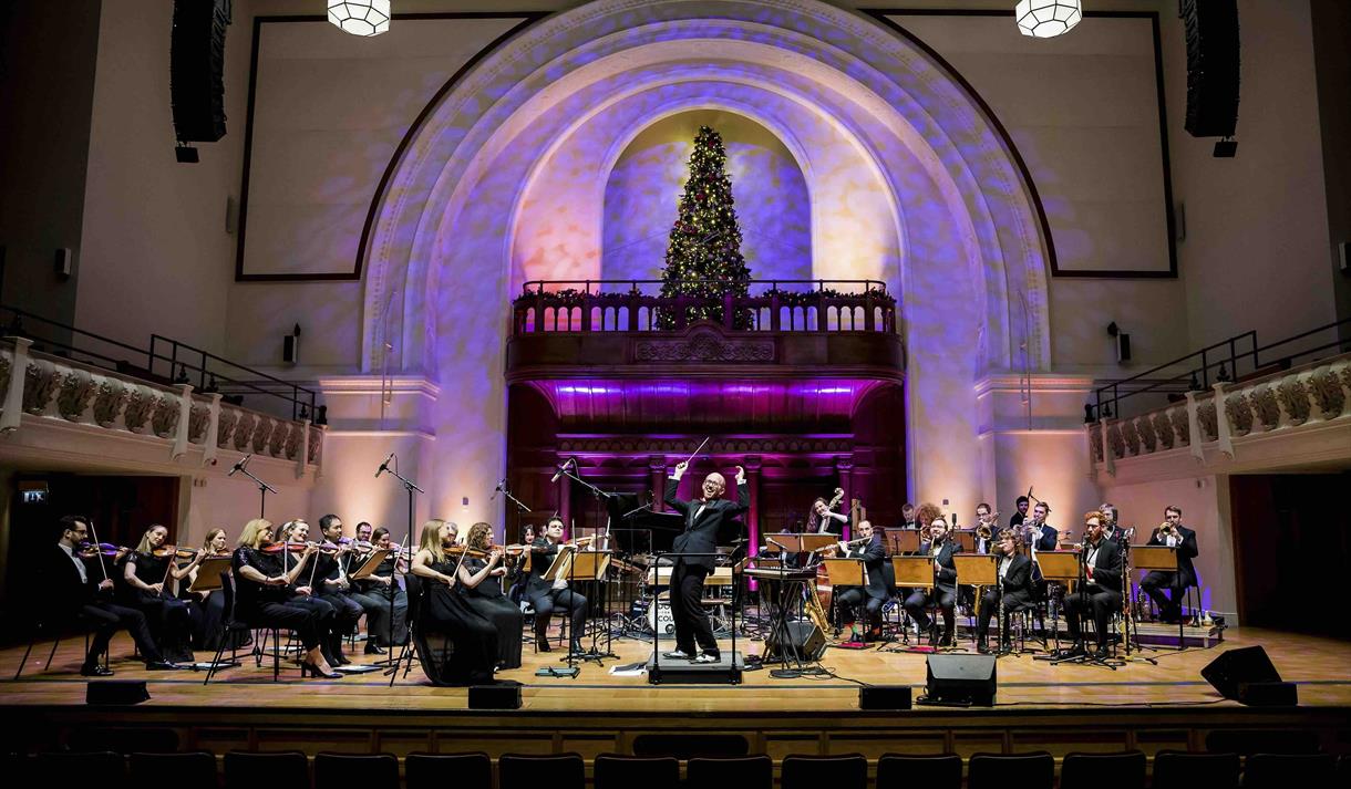 Down For The Count Orchestra - Swing Into Christmas
