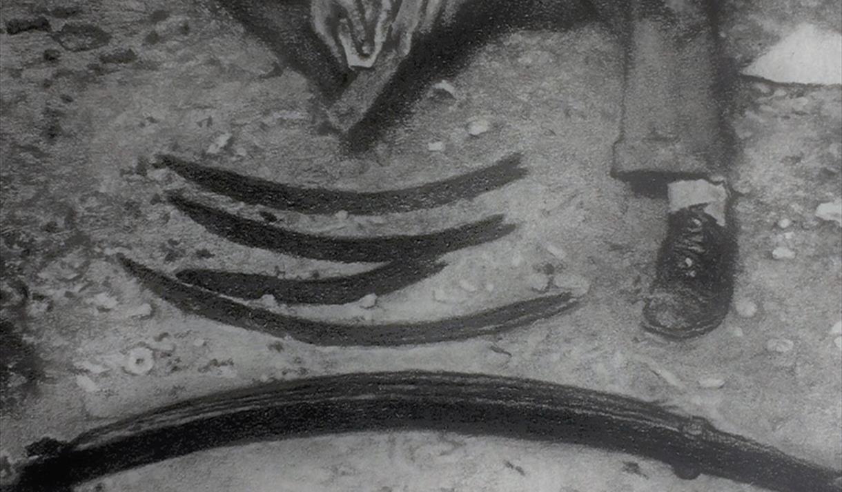 Drawn Through Time - Gallery Tours