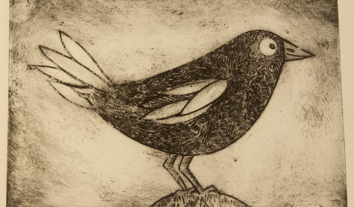 Image shows a picture of a sketch drawing of a bird.