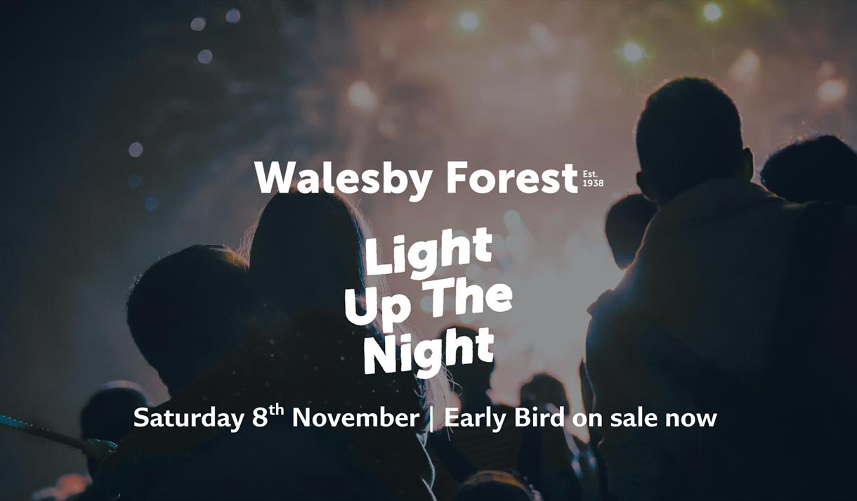 Light Up The Night Fireworks Display at Walesby Forest