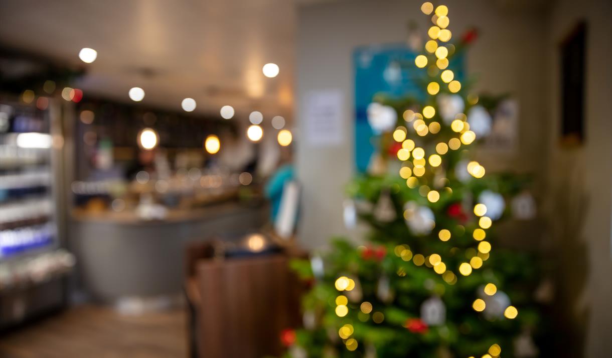 Christmas at Clumber Park 2025