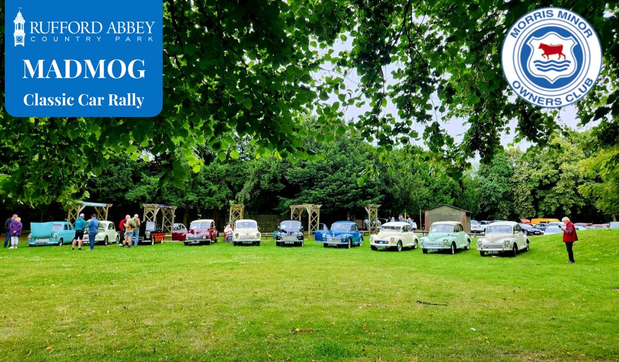Line up of classic cars