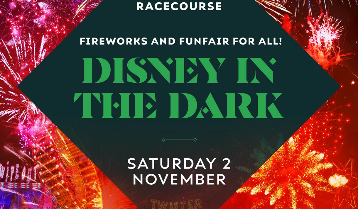 Disney in Dark - Fireworks Display at Nottingham Racecourse
