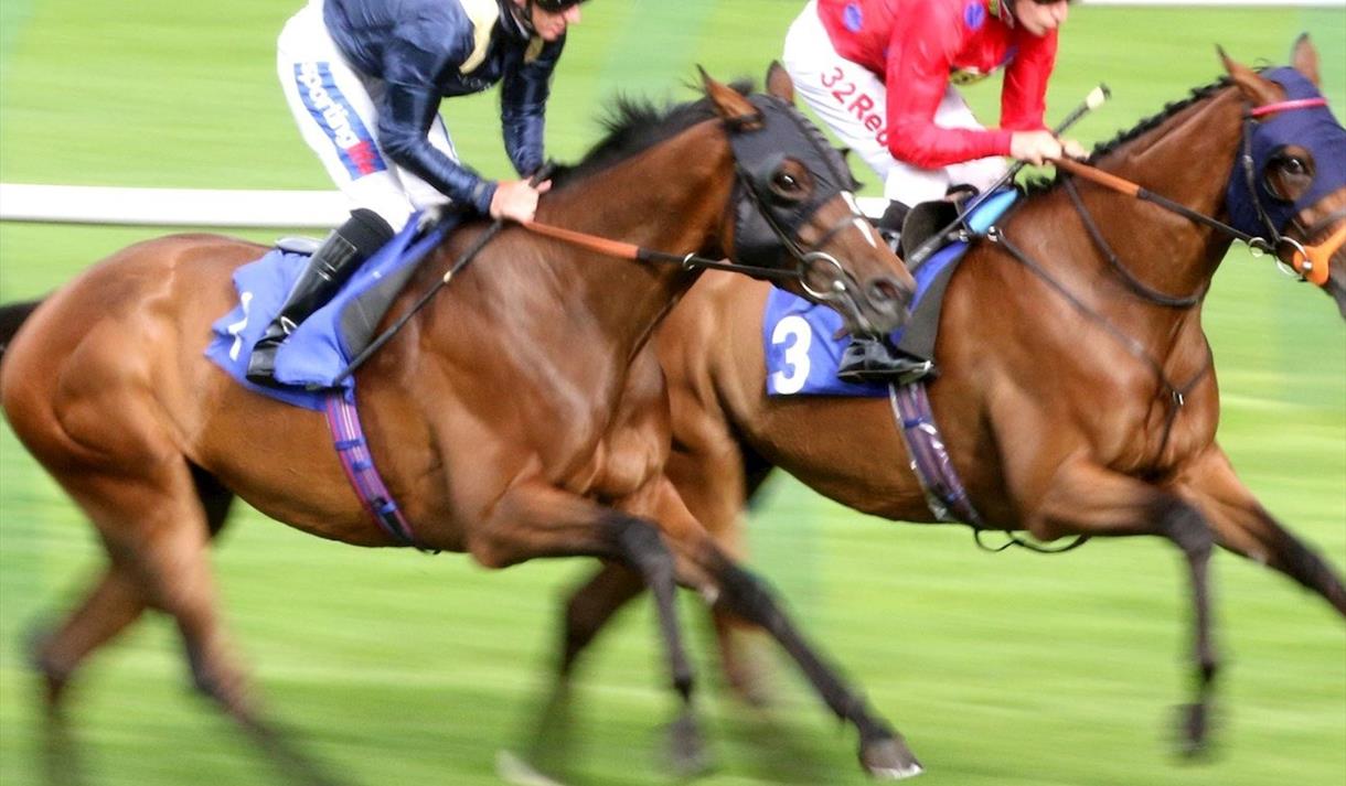 Nottinghamshire Oaks £9 Afternoon Racing at Nottingham Racecourse
