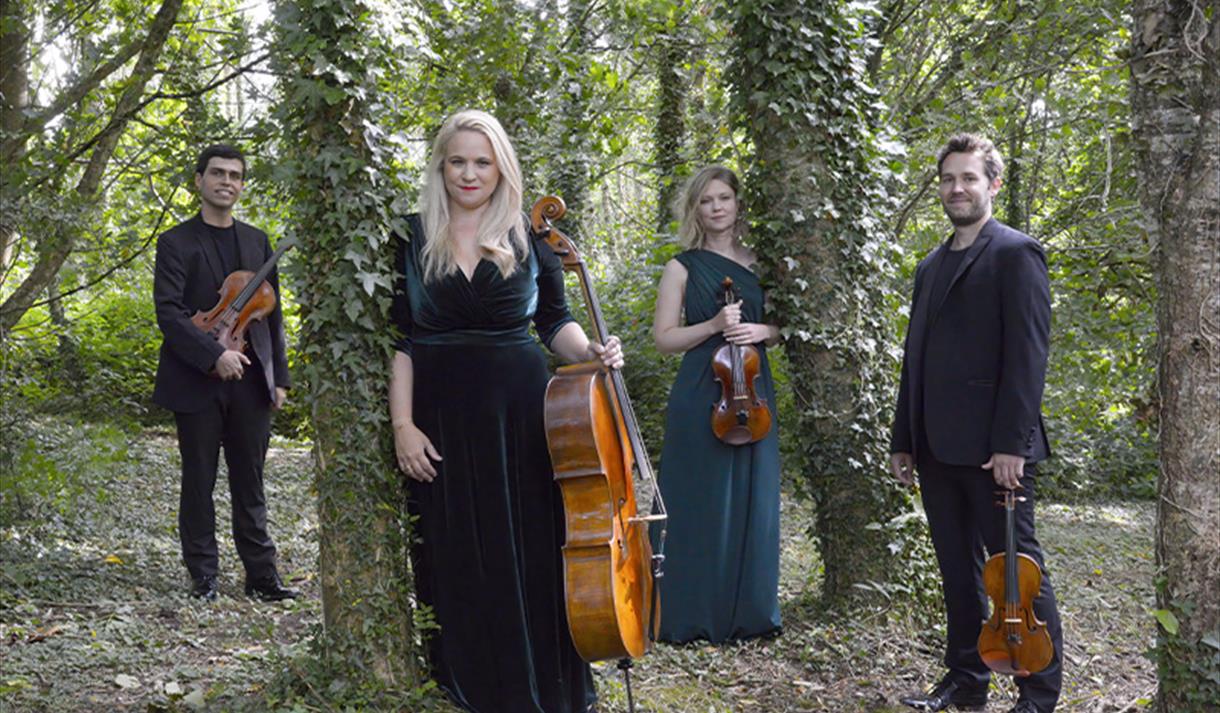 PIATTI QUARTET Image