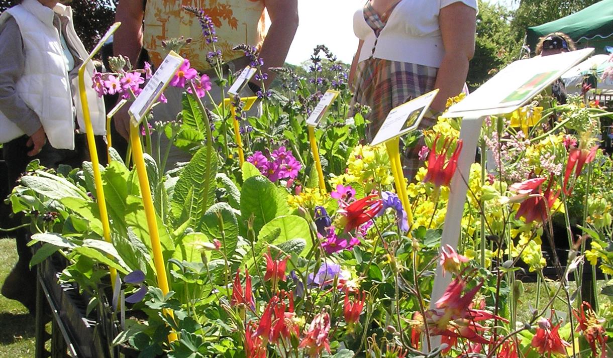 Specialist Plant Fair Visit Nottinghamshire