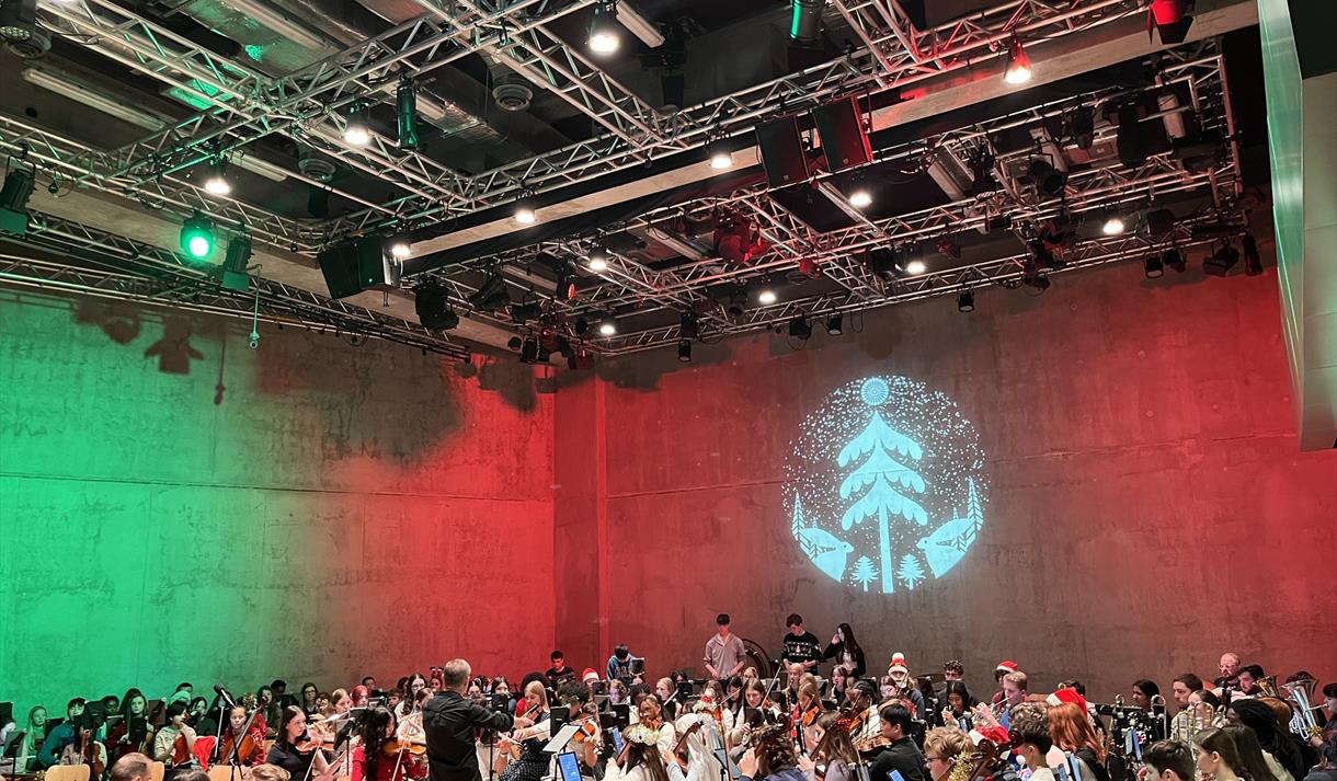 Robin Hood Youth Orchestra Flashmob Performance
