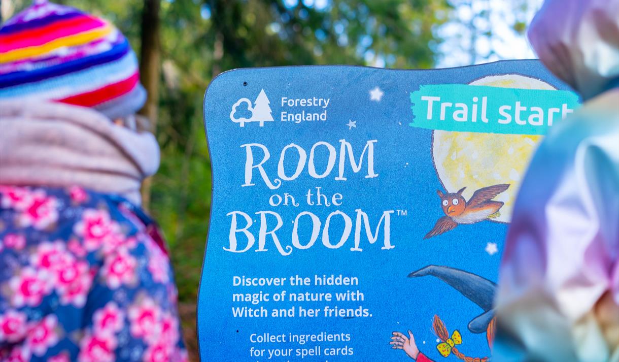 Room on the Broom trail at Sherwood Pines
