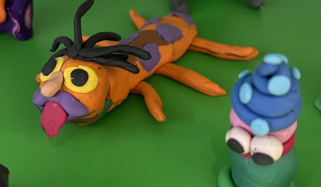 Lights Camera… Animate!
