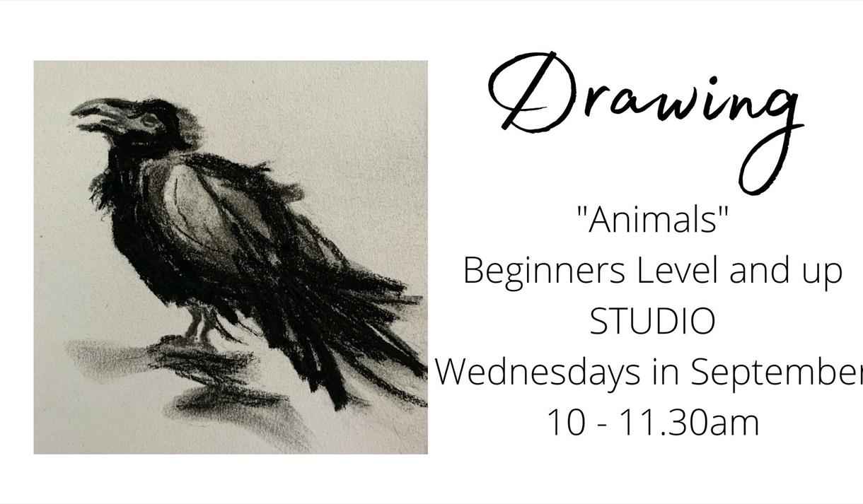 SEPTEMBER 2023 STUDIO: Wednesday Drawing Class: Drawing Animals