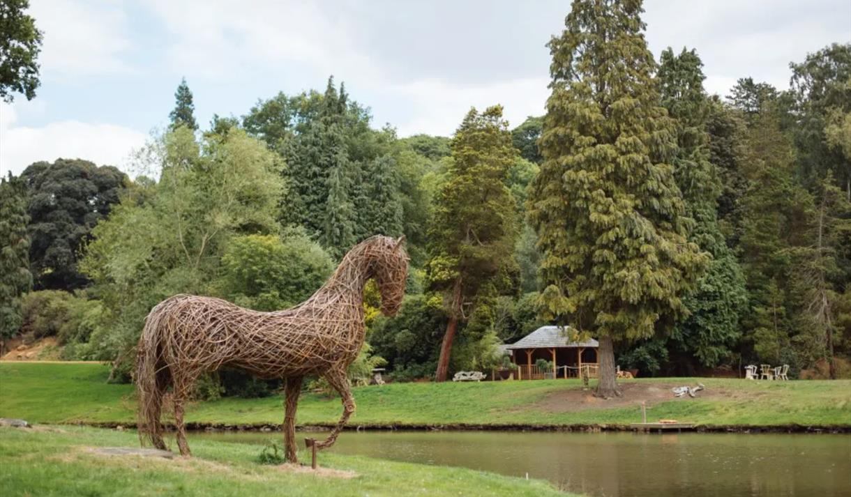 Woodland Walks & Nature Talks
