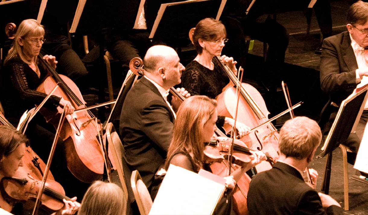 Sinfonia Viva: Stunning Strings