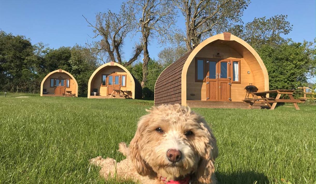 Southwell Retreat Glamping Pods
