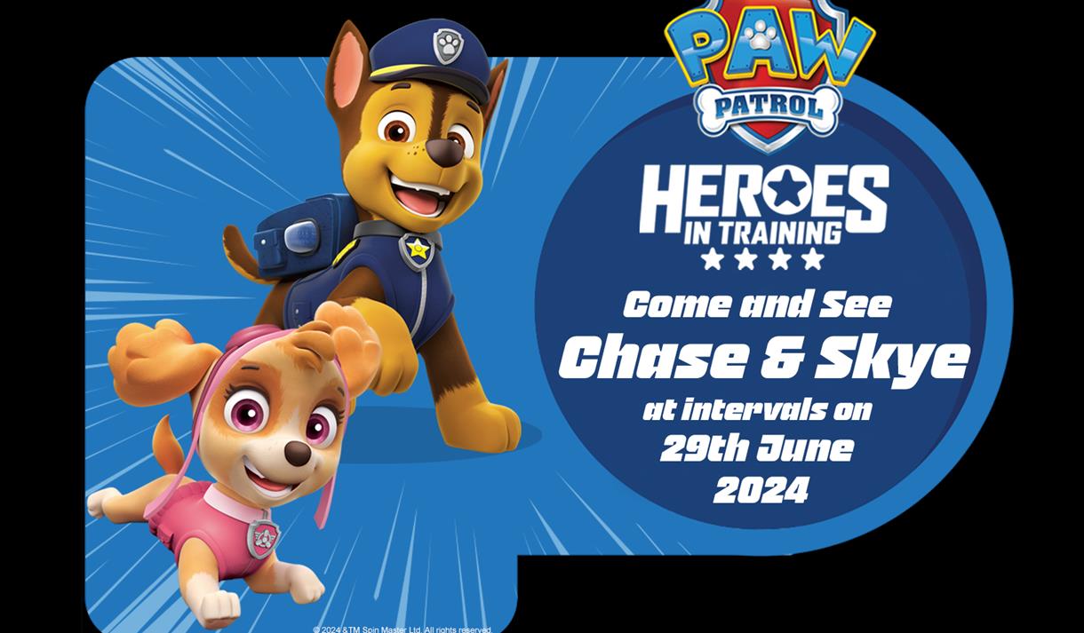 Graphic of Paw Patrol characters