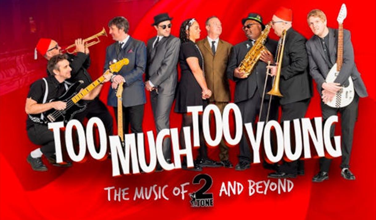 Too Much Too Young - The Music of 2 Tone and Beyond
