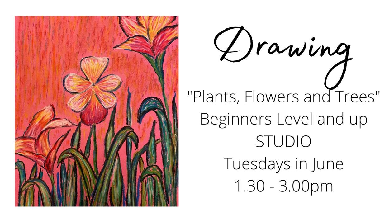 Tuesday Drawing Class Drawing plants, flowers and trees June 2023