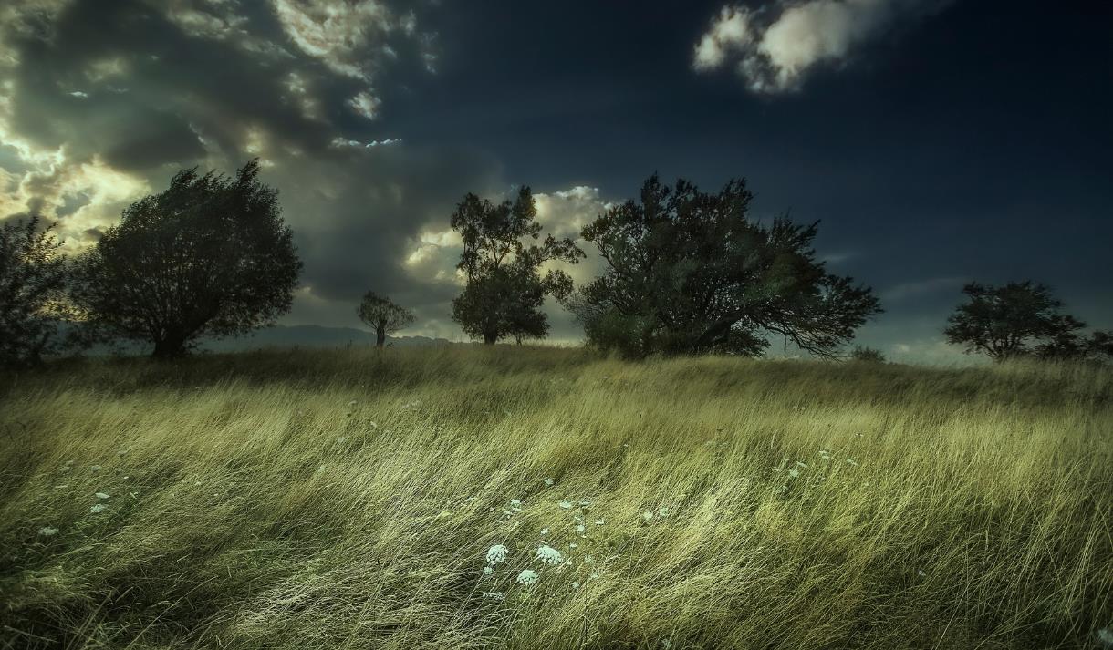 Deeper & Darker Literary Fiction: One Day Creative Writing Workshop