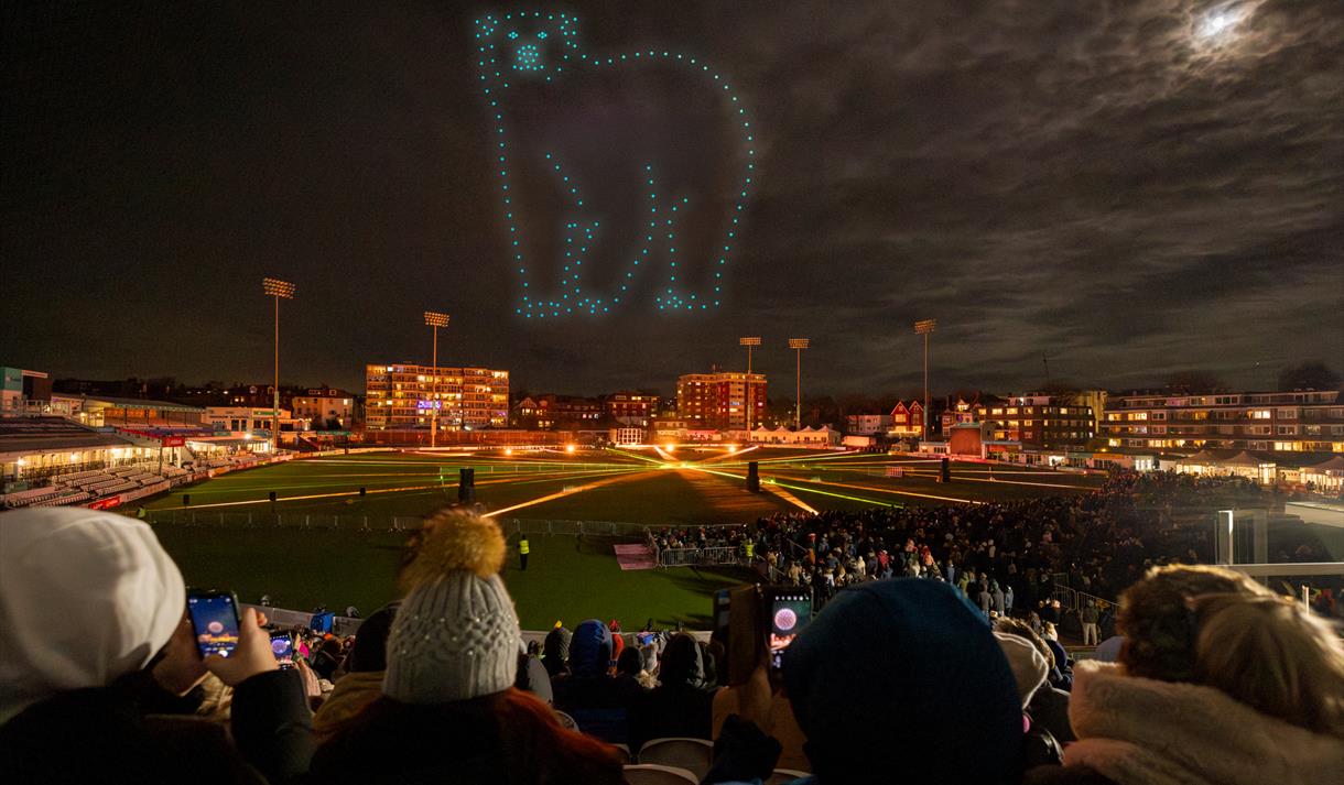 WILD: The Drone Light Show
