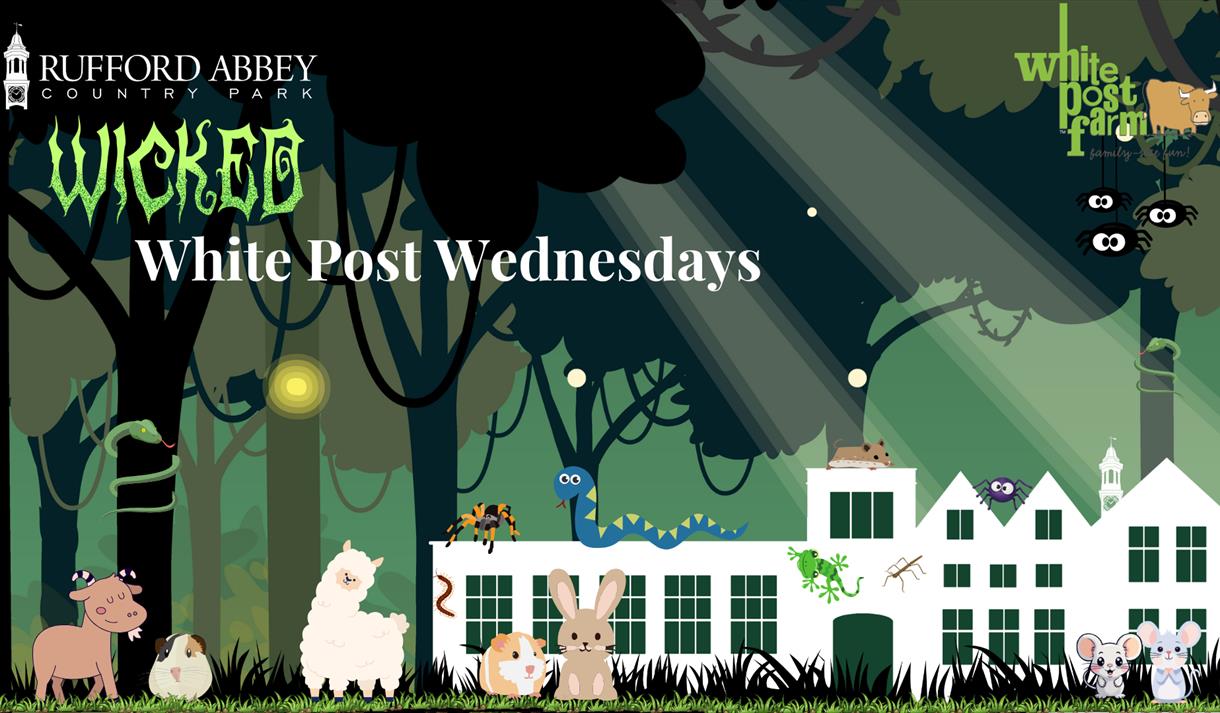 Wicked White Post Wednesdays