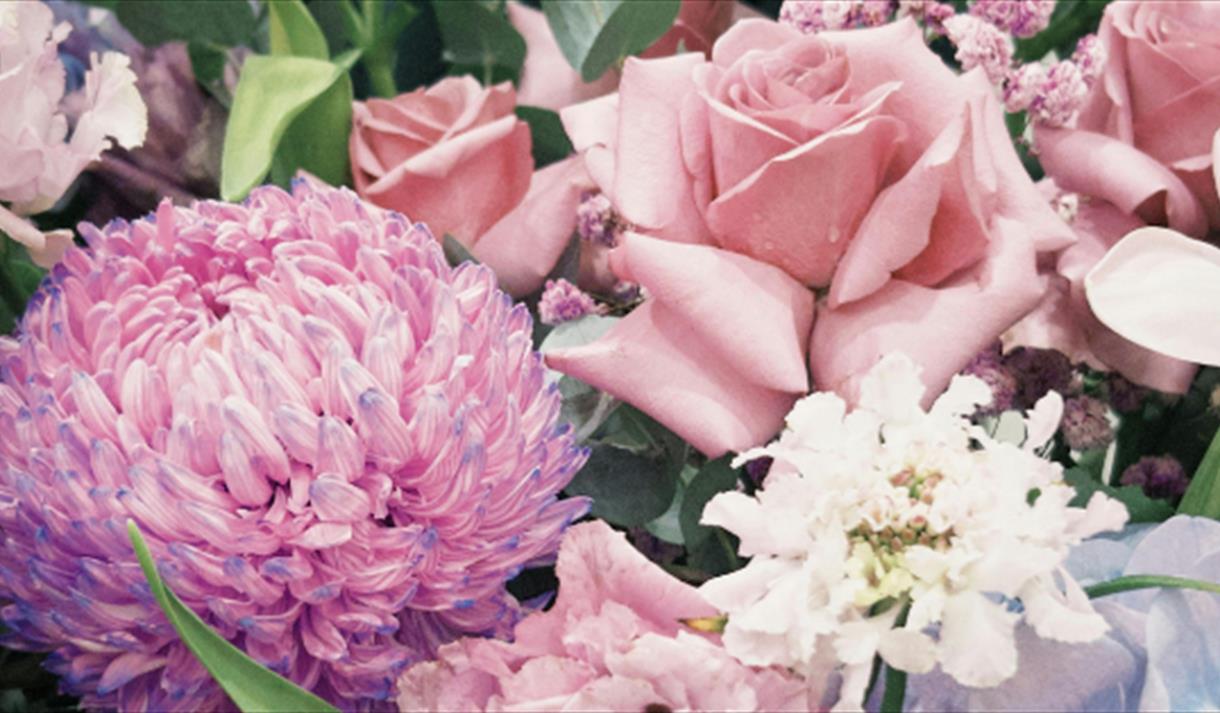 Flower Festival 2026
