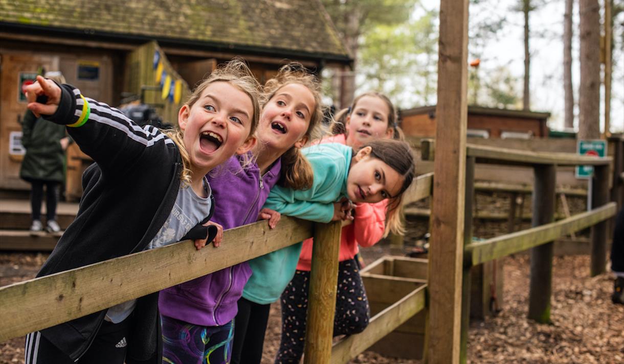 February Half Term at Go Ape
