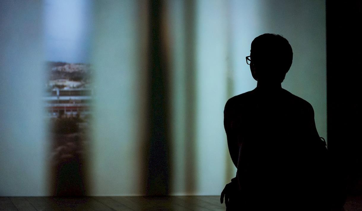 Light Night: Late Night Art
