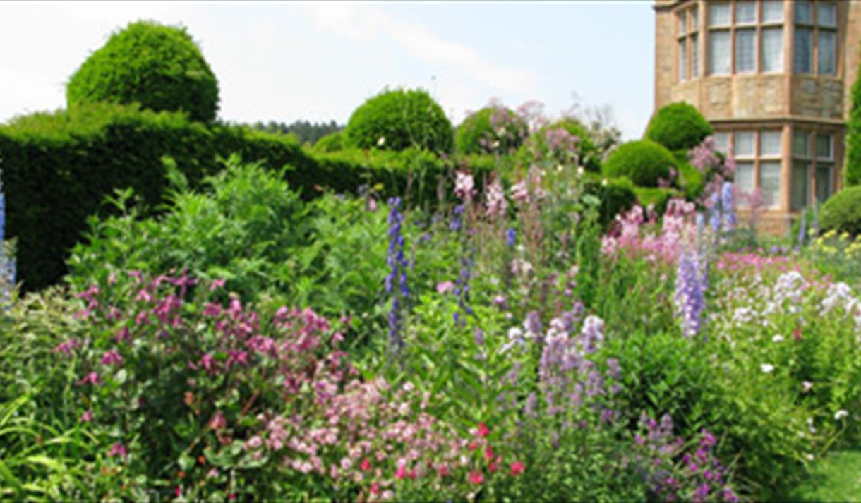 Cottage Garden Society Plant Sale Visit Nottinghamshire