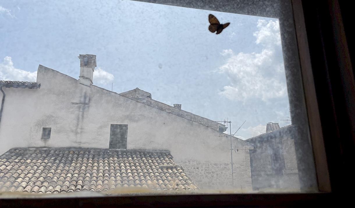 Abbas Zahedi, Zhuo Mengting and Nisha Ramayya: Holding a Heart in Artifice
