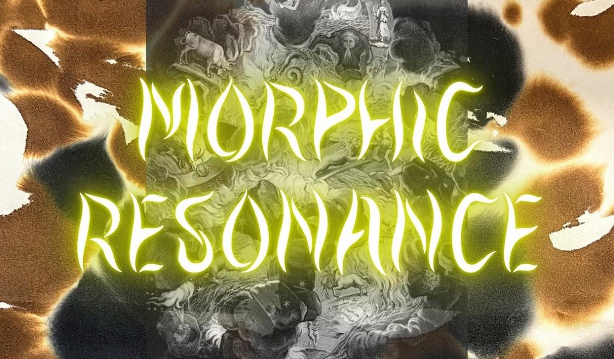 Morphic Resonance by Beth Kettel