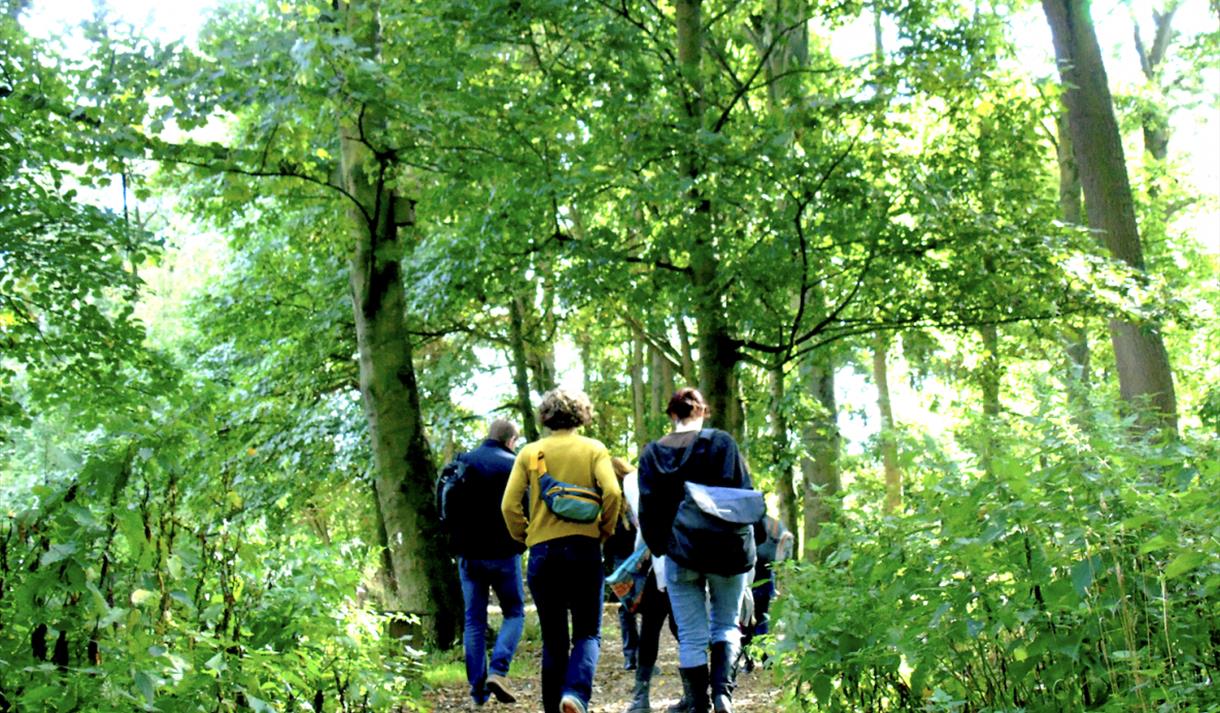 Photo of a group walking through a forest or wooded area