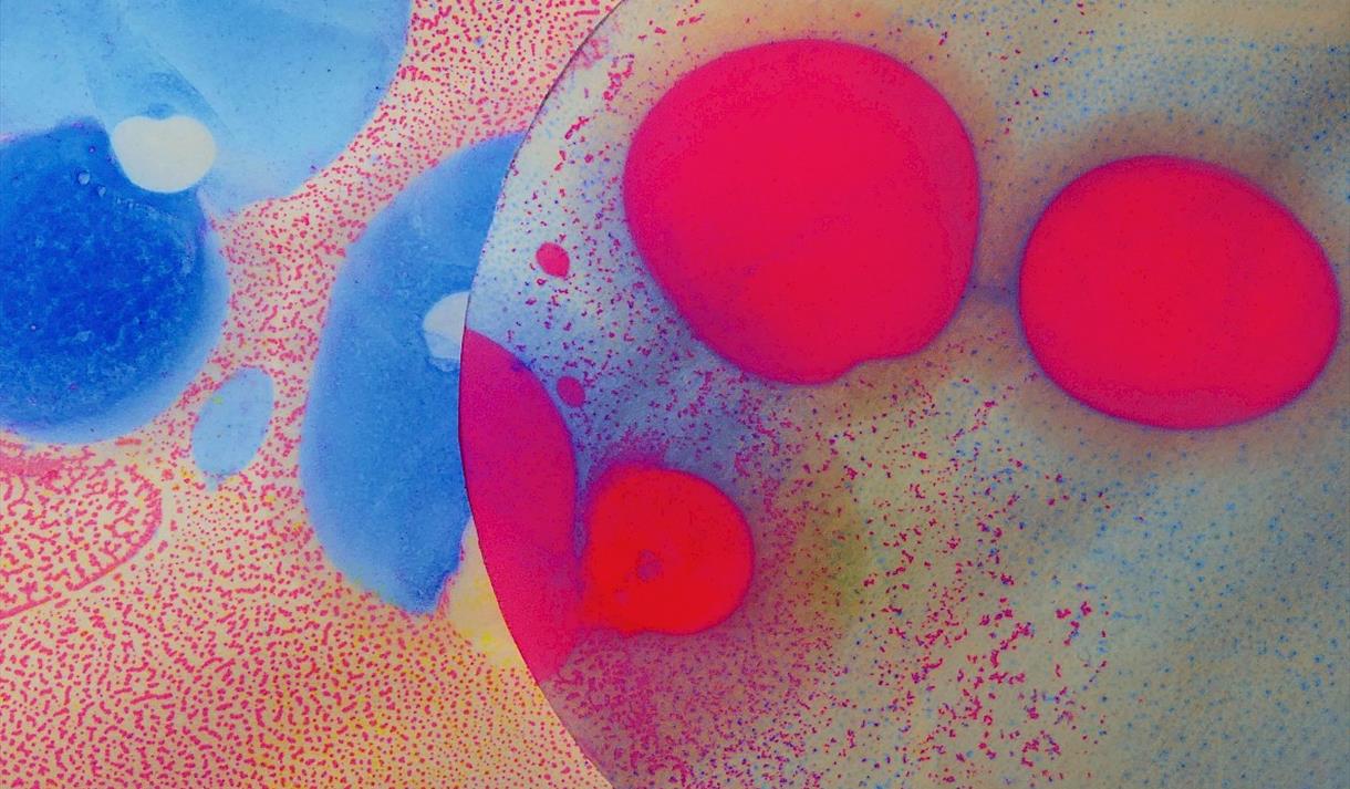 Micro Discovery: Workshop
