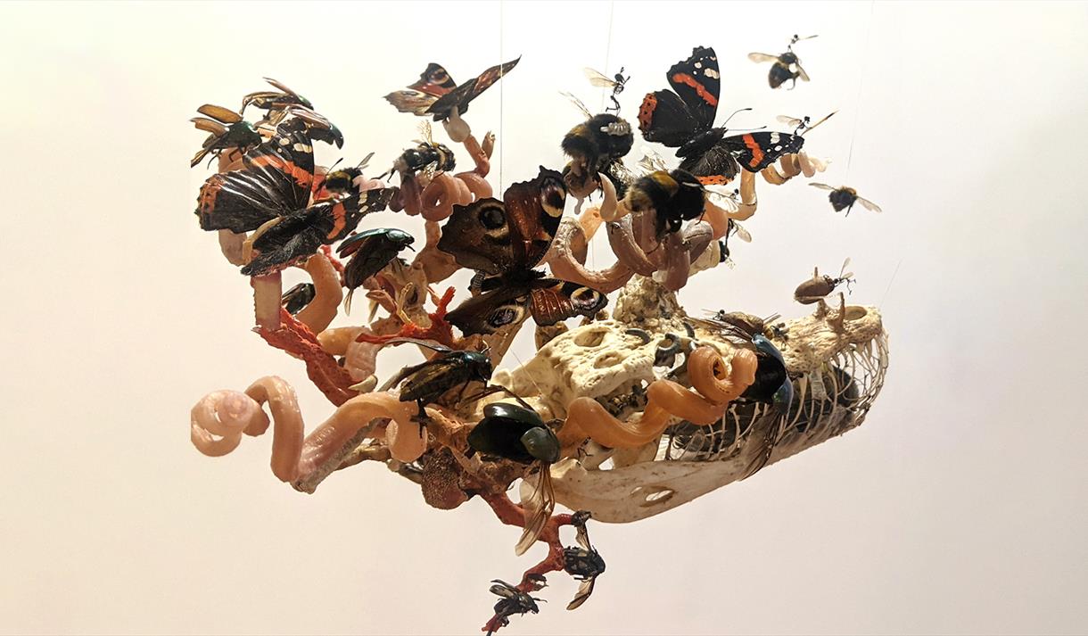 The Return Of The Fairies