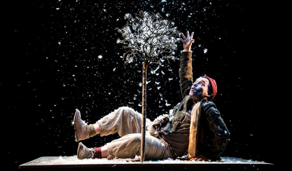 Photo of the stage show including a giant daffodil