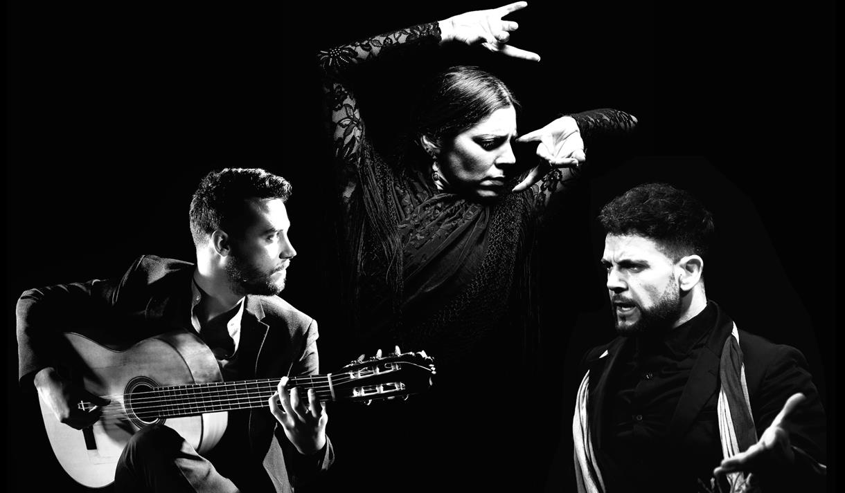 Art of Andalucia | FLAMENCO DANCE
