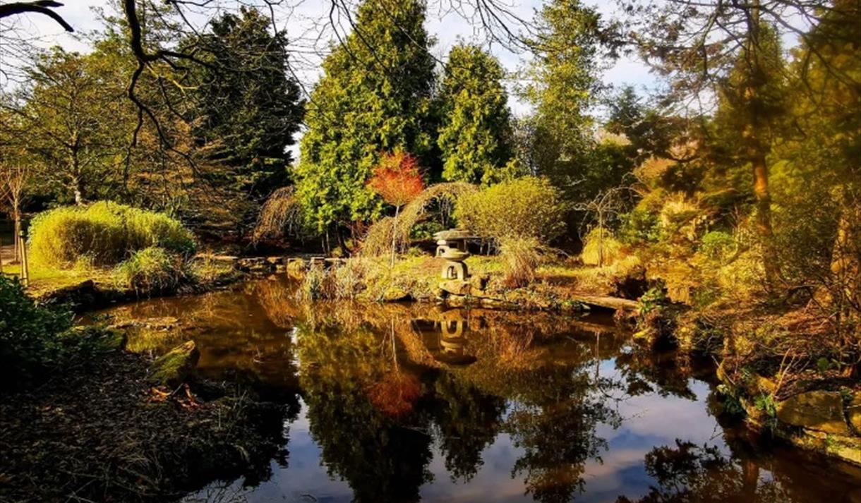 Newstead Abbey Garden
