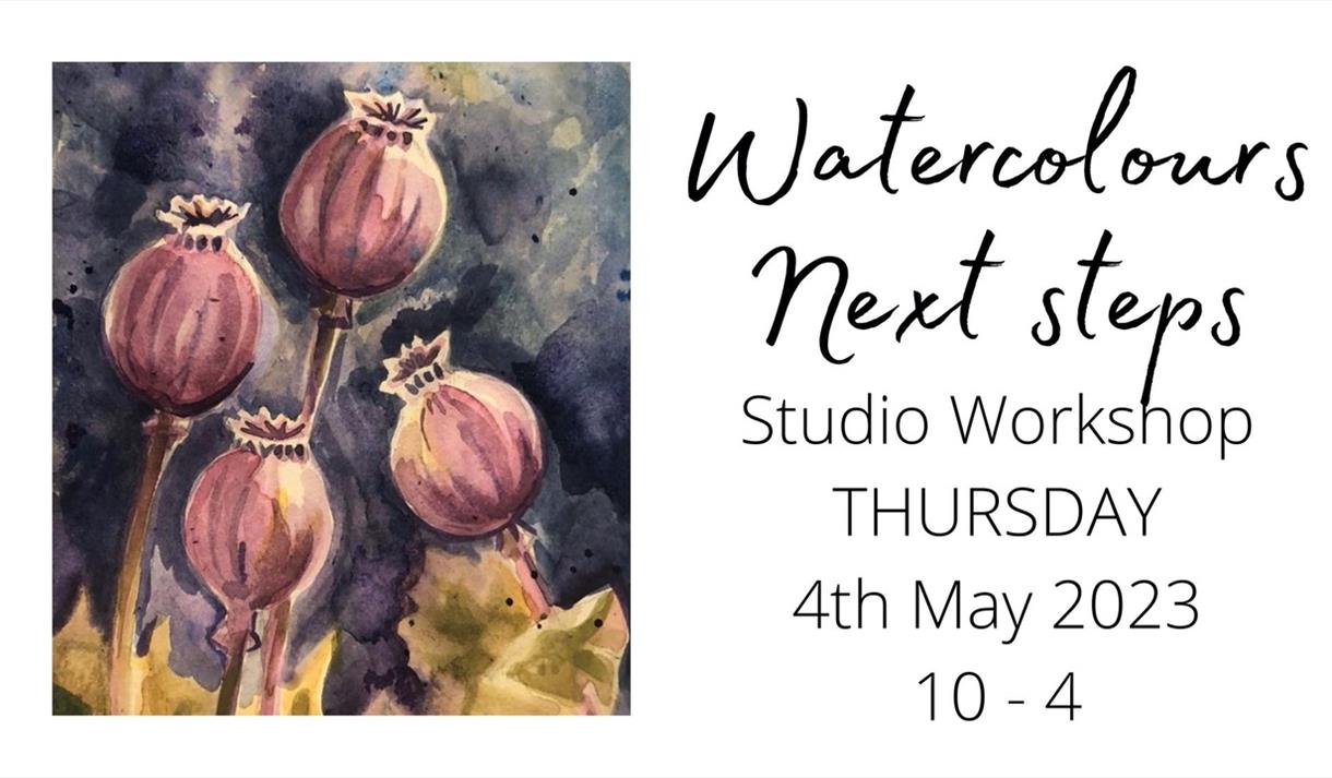 Watercolour Day Course: Next steps May 2023
